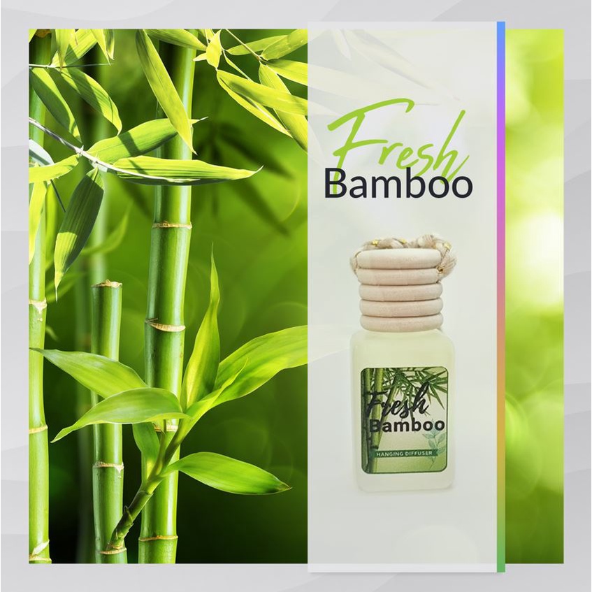 BUY 1 TAKE 1 Hanging Diffuser Scents/ Car Freshener/ Car Perfume/ Car