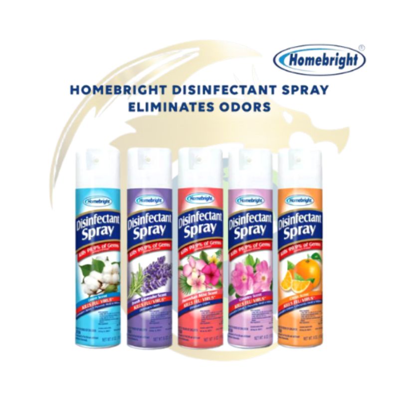 HomeBright Disinfectant Spray 6oz/170g Shopee Philippines