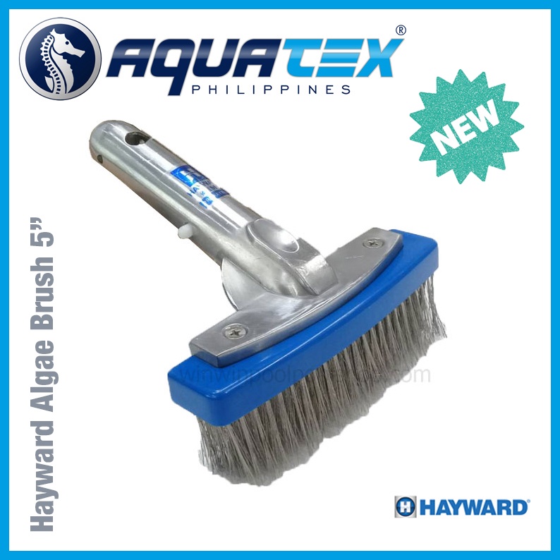 Hayward Pool Algae Brush with Stainless Steel Bristles 5 inch Shopee
