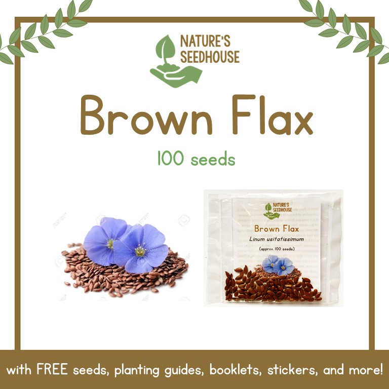 Brown Flax Seeds , Flaxseed , Linseed , Flower Seeds , Plant Seeds