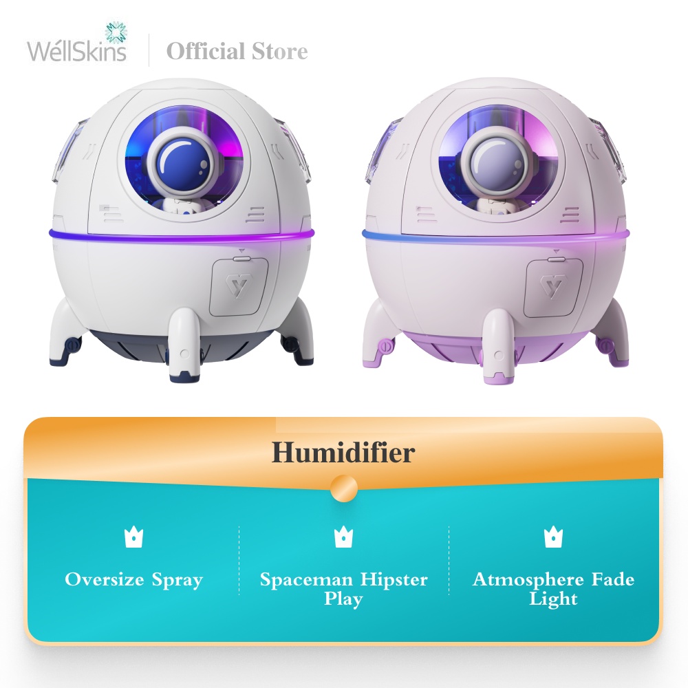 BOMIDI Humidifier Ultrasonic Aromatherapy Diffuser Air Purifier