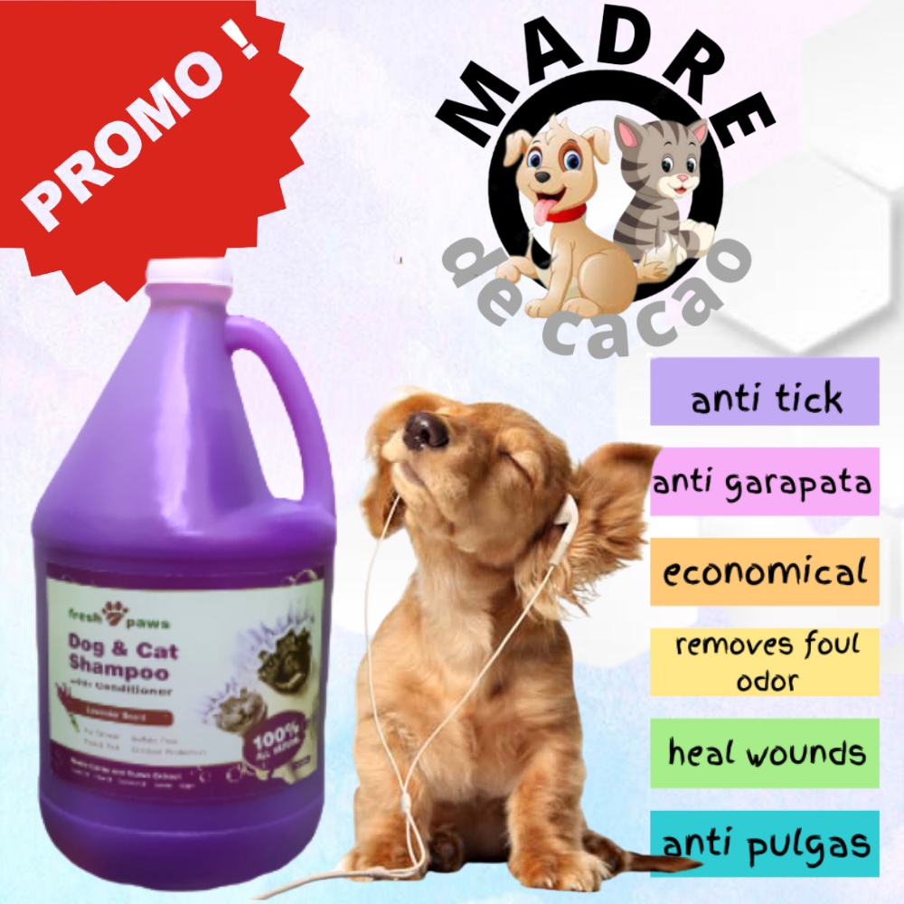 lavender dog shampoo and conditioner cat essential cat shampoo and