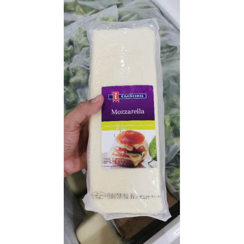 Mozzarella, 2.3kg x 4 blocks Shopee Philippines
