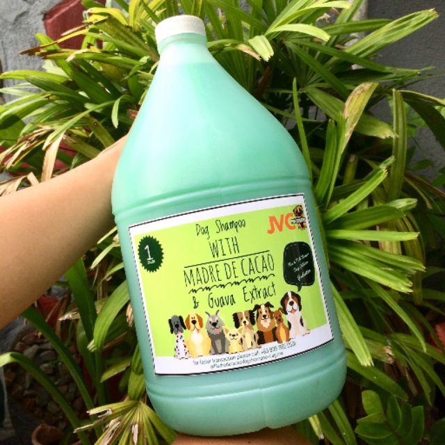 Madre De Cacao Dog Shampoo. Shopee Philippines