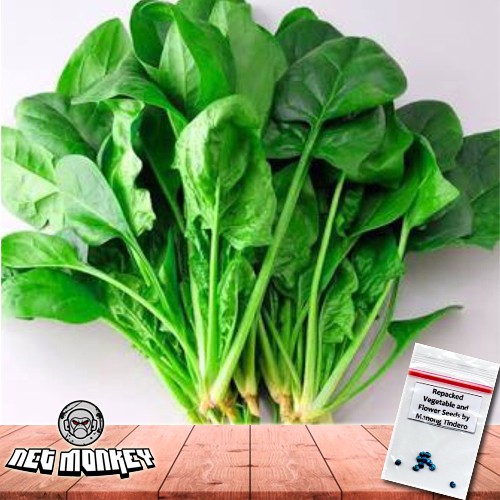 Chinese Spinach Kulitis Vegetable Seeds Shopee Philippines