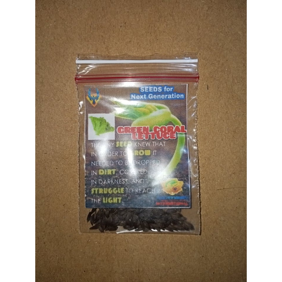 Green Coral Lettuce seeds Shopee Philippines