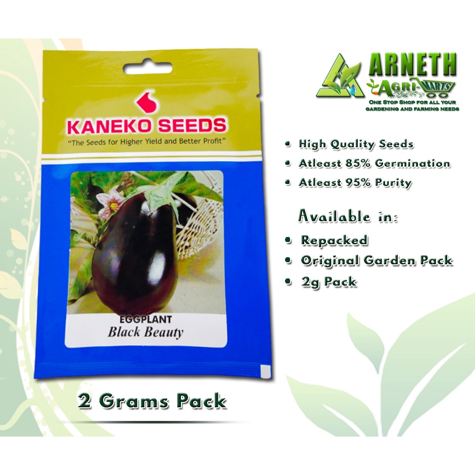 BLACK BEAUTY EGGPLANT SEEDS BY KANEKO (2 GRAMS) Shopee Philippines