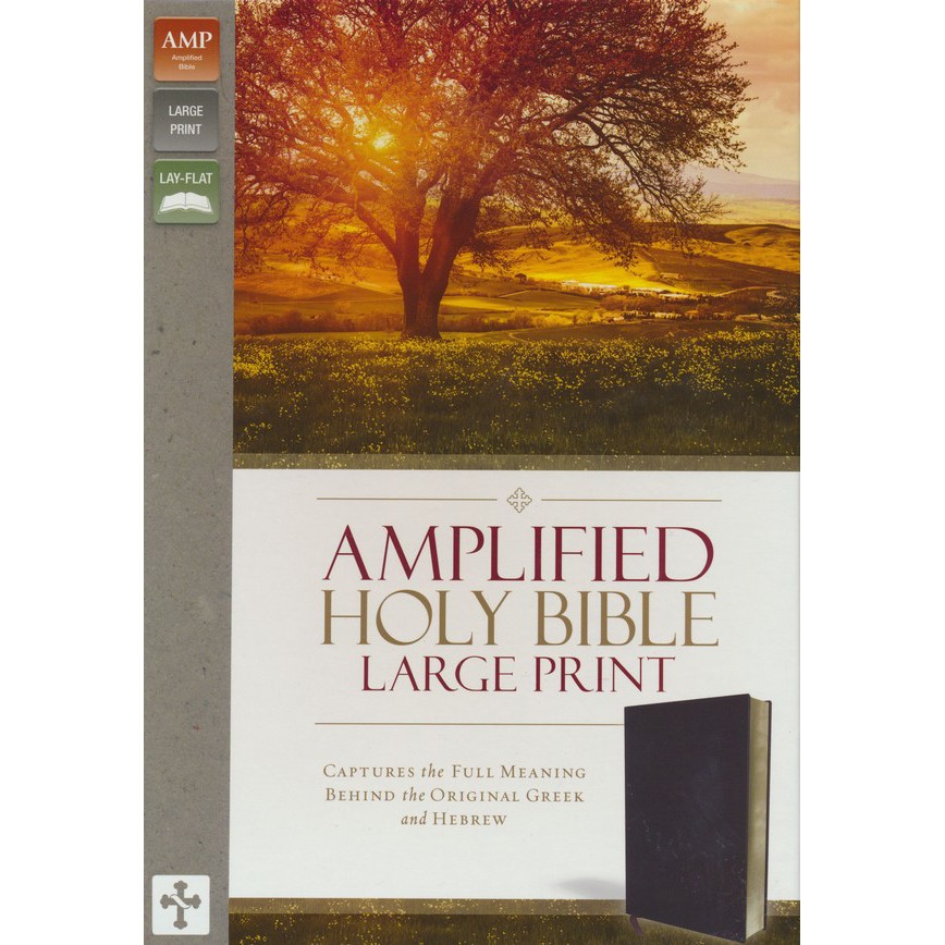 Amplified Bible Large Print Bonded Leather Burgundy Shopee Philippines