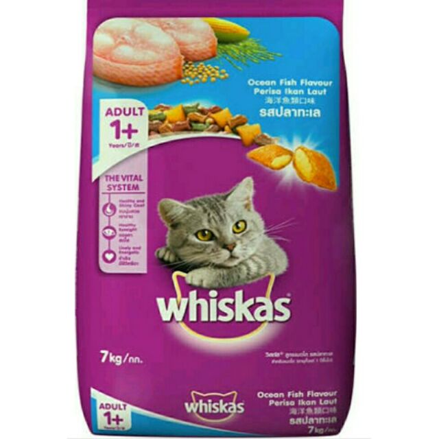 Dry Cat Food Brands Philippines Cat Mania