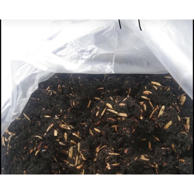 Potting mix (garden soil, CRH, rice hull, coco dust) Shopee Philippines