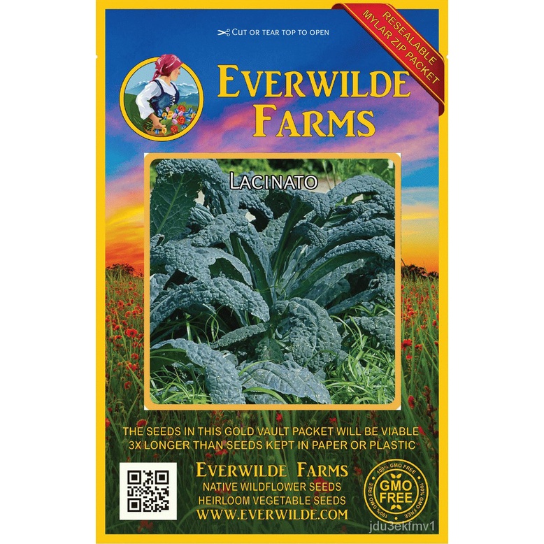 Guaranteed germination rate 1 Oz Lacinato Kale Seeds Everwilde Farms