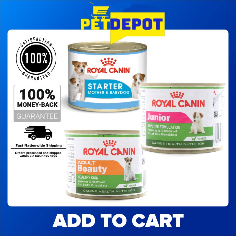 Royal Canin SET OF 4 Canned Appetite Stimulant Dog Food (Starter Mousse