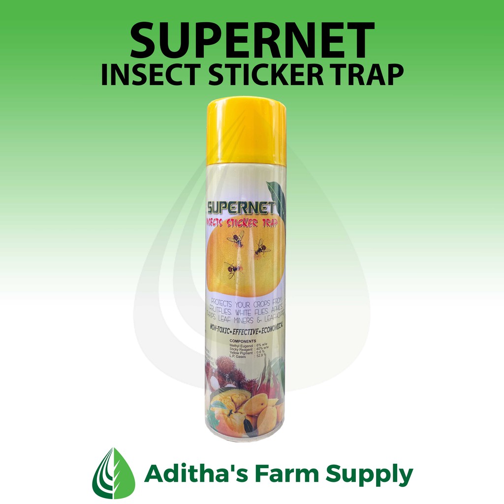Insect Sticker Trap (600cc) Shopee Philippines