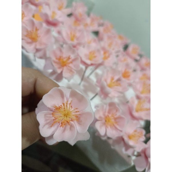 cherry blossom edible Shopee Philippines