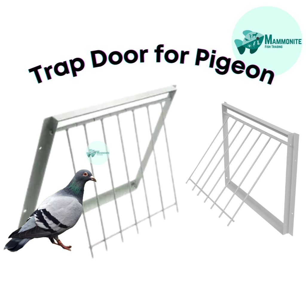 Bird Pigeon Trap Door Stainless Steel Frame Trapping Cage YCPG836