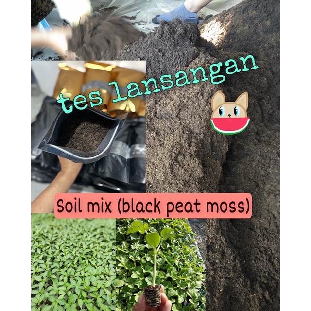 Soil mix (black peat moss for seedlings) Shopee Philippines