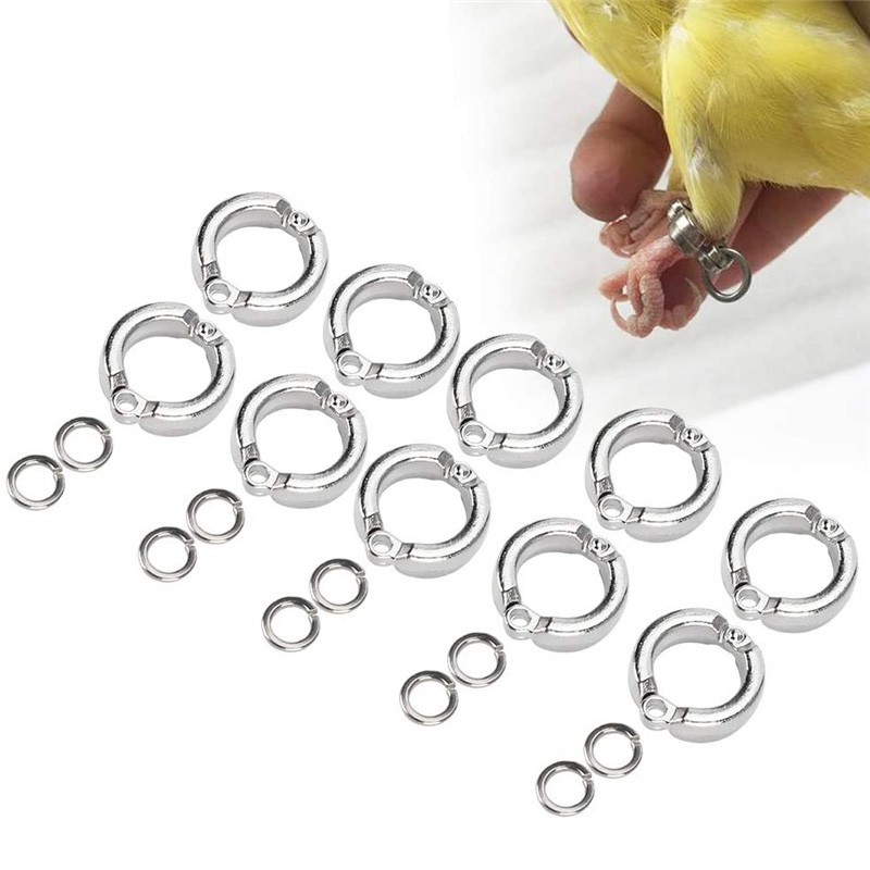 Parrot Foot Rings Metal Pet Bird Leg Rings Outdoor Fly Training