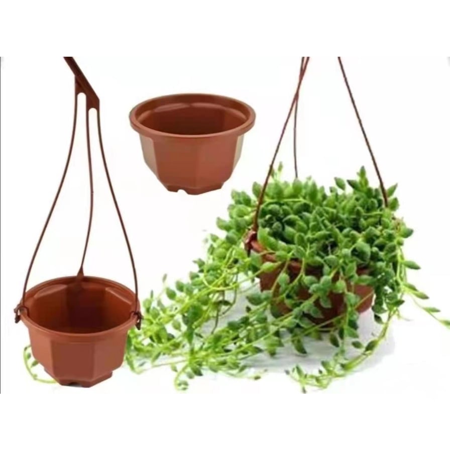 Plastic Hanging flower pot 9x6cm (E110) Shopee Philippines