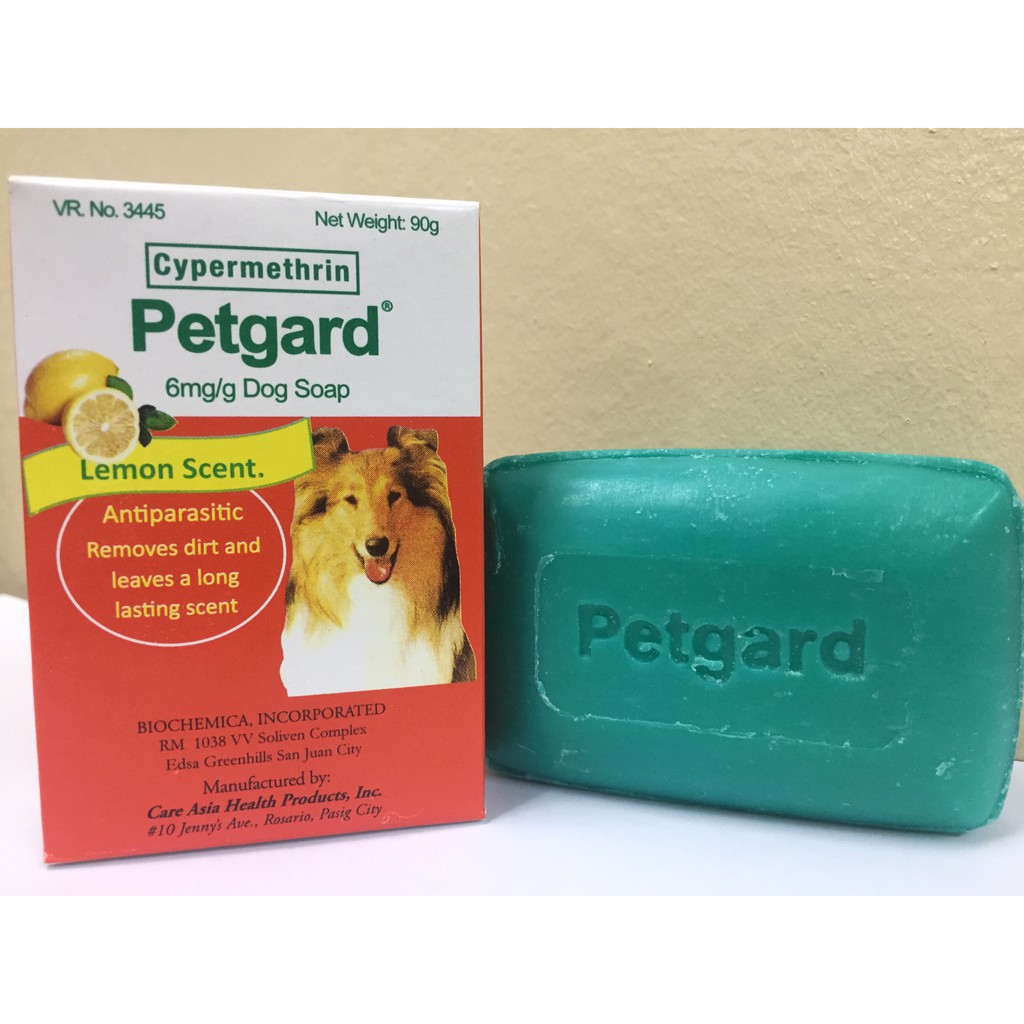 Can Lemons Kill Dogs