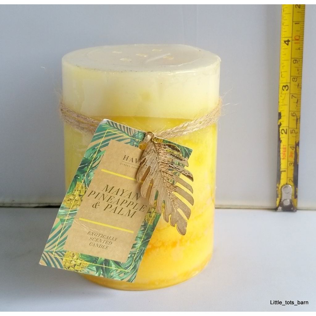 Aspen Bay Candle Cinnamon Pineapple Pinecone MS011CBE Home