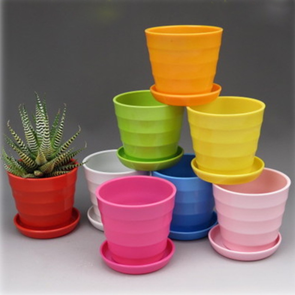 COD Ready Stock Colourful Plant Pot Mini Plastic Flower Pot Succulent