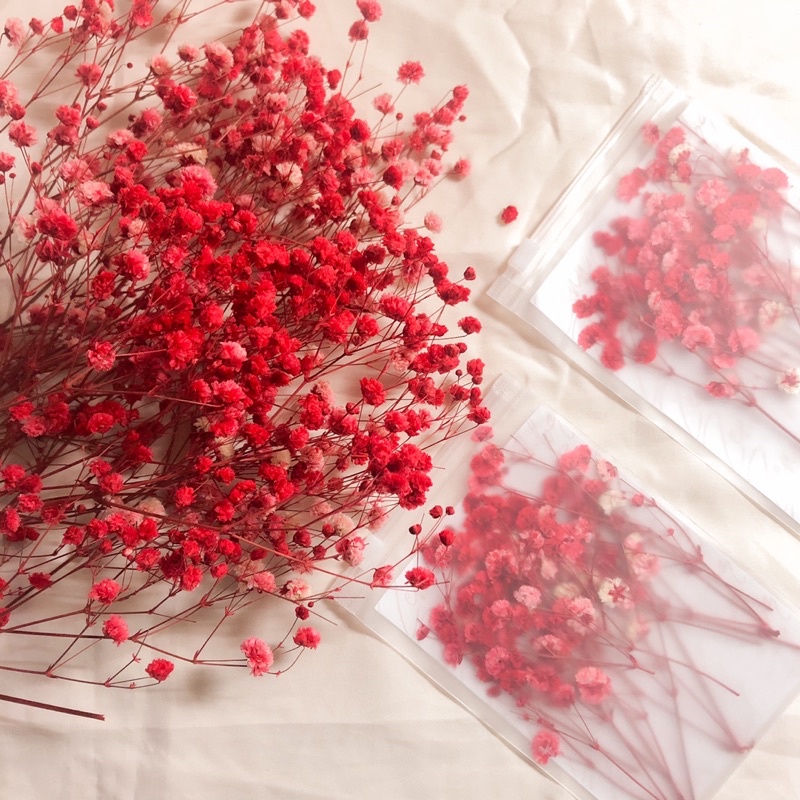 Pressed Dried Real Flower (New Packaging) Krafty Sisters Shopee