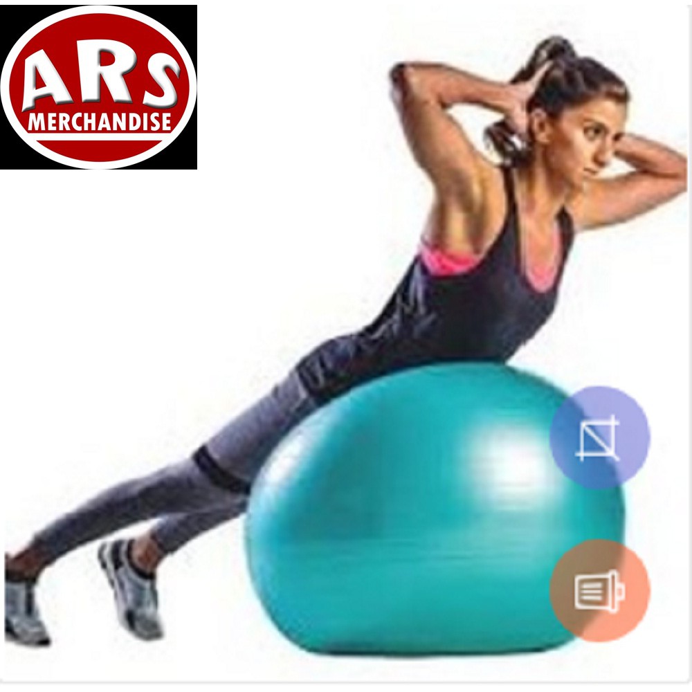 MDBuddy AntiBurst Exercise Yoga Gym Ball Shopee Philippines