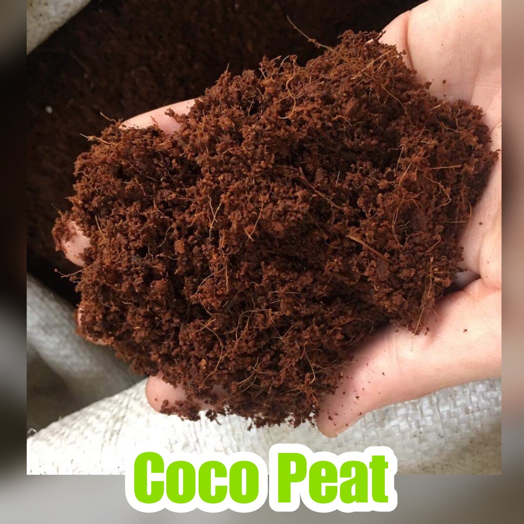 COMPOSTED COCO PEAT 10 Liters (Big Pack) EGreen Shopee Philippines