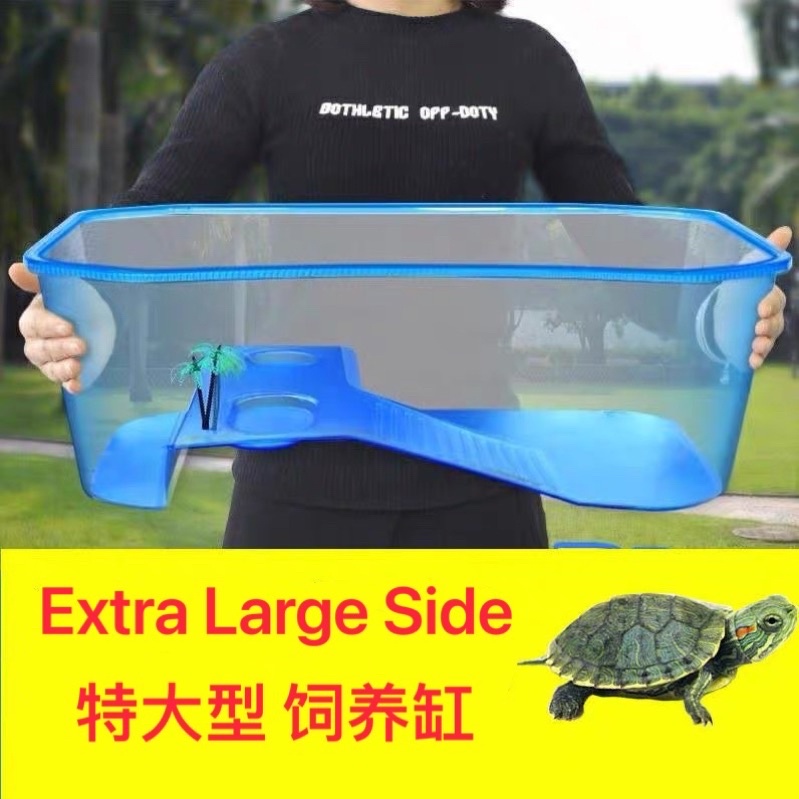 Tortoise Turtle Kura Reptile Vivarium Feeding Tank Turtle Tank Box Kura
