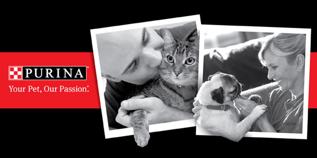 Nestle Purina Petcare Official Store, Online Shop Shopee Singapore