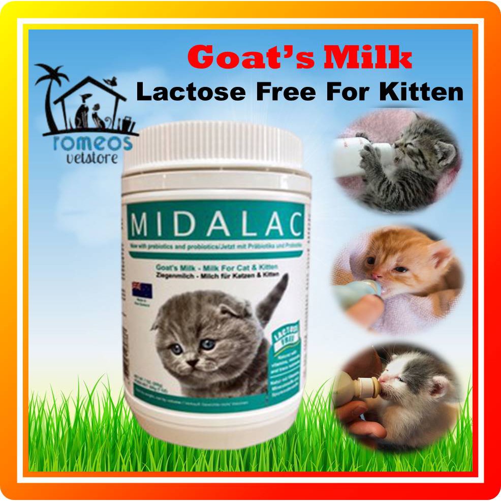 lactosefree milk for newborn kittens Captions Casual