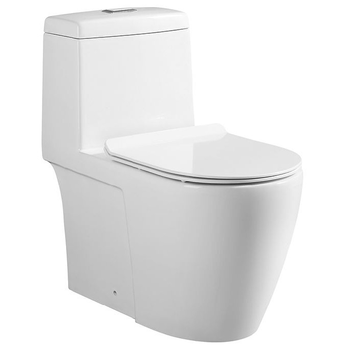 Tiara 530S 1Piece Toilet Bowl Shopee Singapore