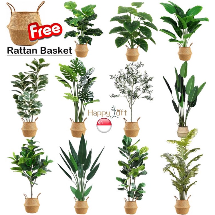 [SG SELLER] Artificial Plant Fake Plant With Free Rattan Basket Small