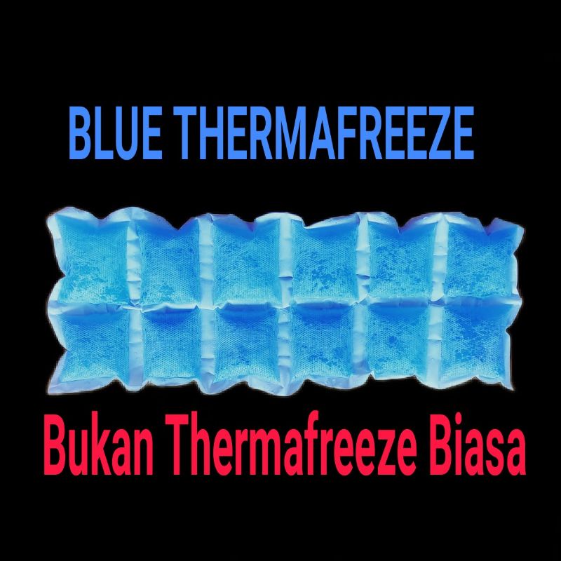 Blue Thermafreeze ice gel 15x40cm ice pack blue dry ice Shopee Singapore