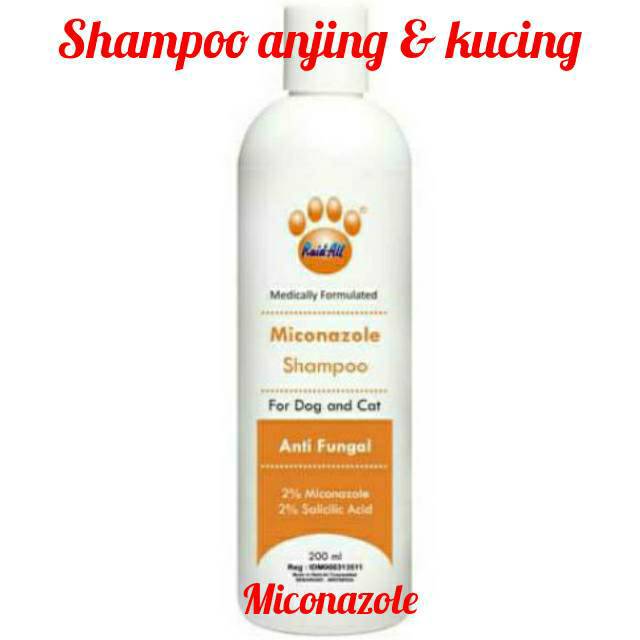 Shampoo MICONAZOLE antiFungal Dog Cat Shampoo Equivalent To sebazole