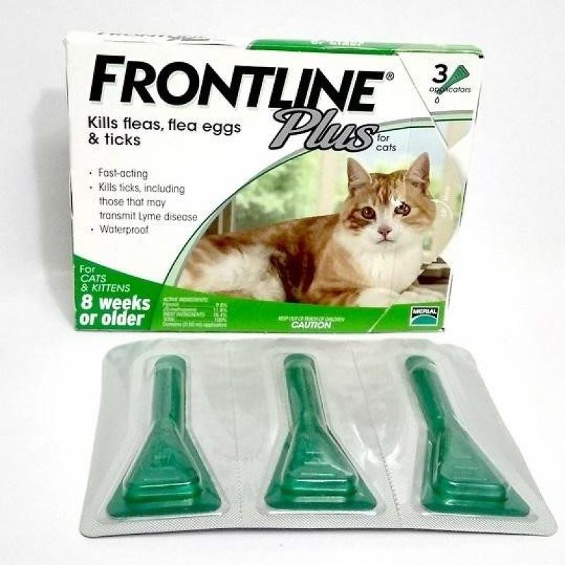 Small Nape To Kill Ticks For Frontline Cats Shopee Singapore