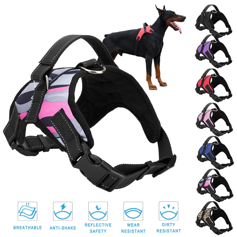Should I Take My Dogs Harness Off At Night