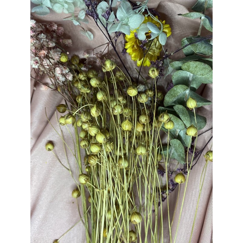 Hamster sprays Flax seed sprays Shopee Singapore