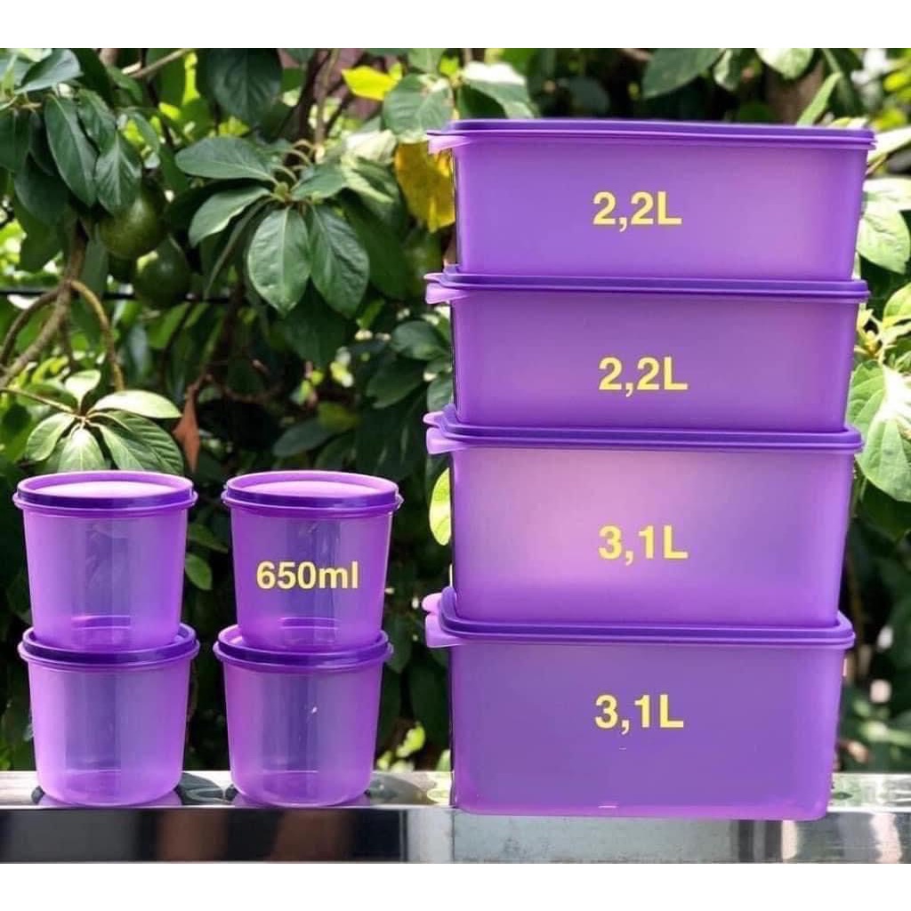 Freshness Collection Thailand Cool Compartment Box Set, Genuine Supper