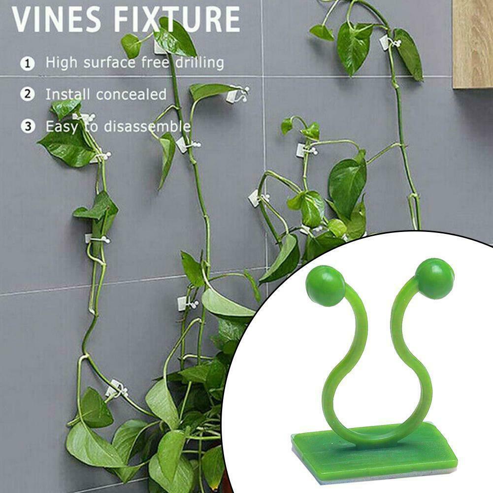 1PC Plant Climb Wall Clip Invisible Vines Fixture Wall Sticky Hook