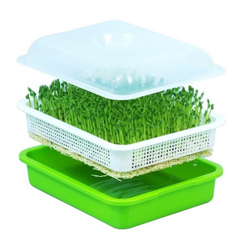 Seed Sprouter Tray + 10 paper / Plant Flower Germination Tray /without