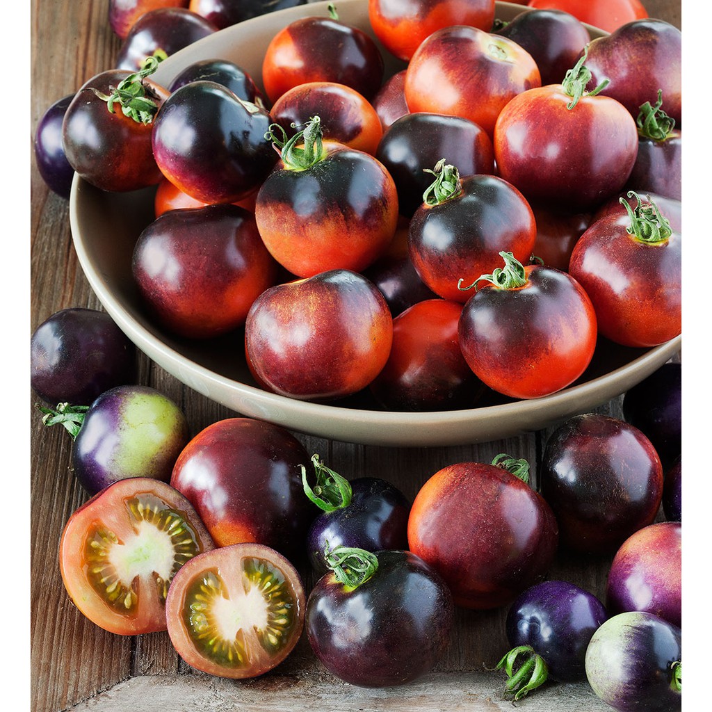 Tomato 'Indigo Rose' 15 Seeds (Lycopersicon Esculentum) Indeterminate