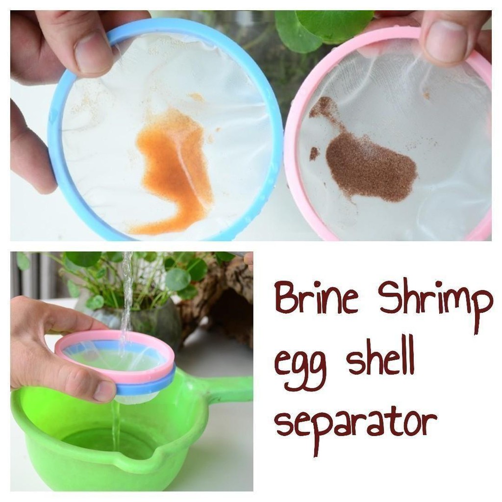 Brine Shrimp Separator Shopee Singapore