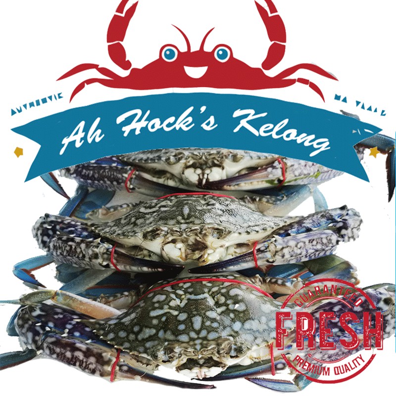 Flower Crabs 1.0kg 2.0kg (Live from Kelong) Shopee Singapore