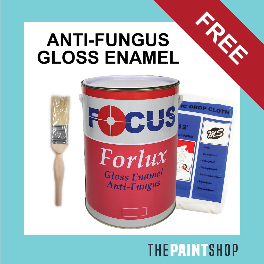 [FREE PAINT SET] Gloss Enamel AntiFungus FOCUS PAINT Forlux Shopee