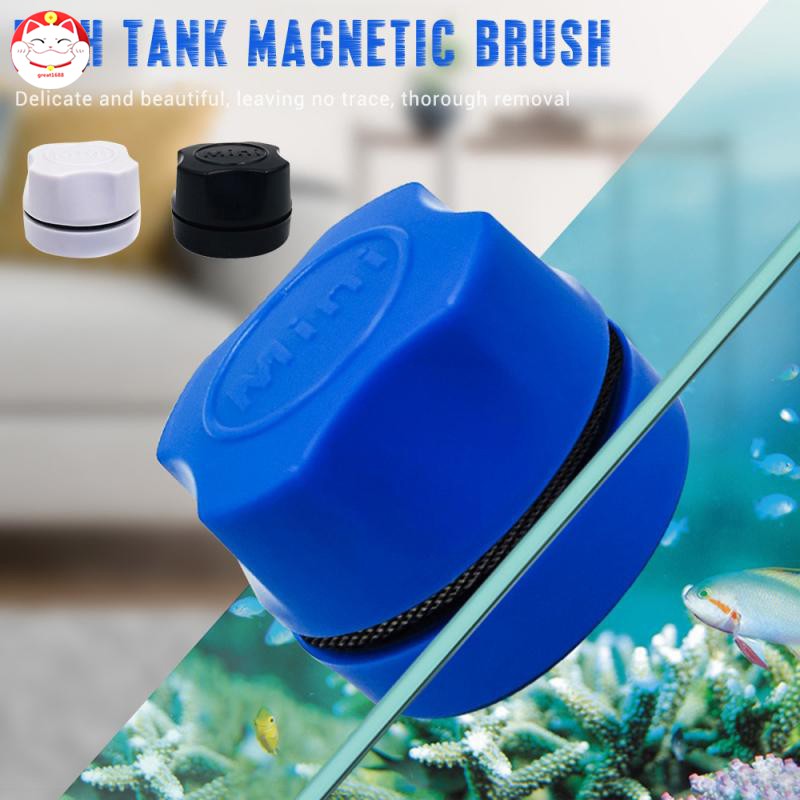 GT⁂ Fish Tank Brush Brush Aquarium Supplies Fish Tank Glass