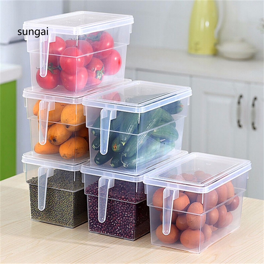 ☆SG☆Portable Refrigerator Fridge Sealed Food Fruits Storage Box