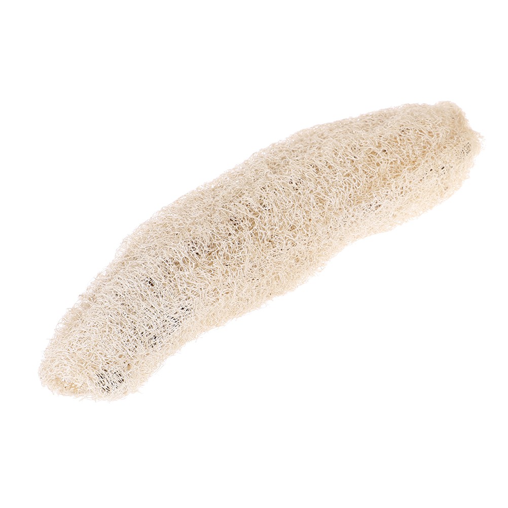 Natural Luffa Loofah Antibacterial Bath Body Scrub Shopee Singapore