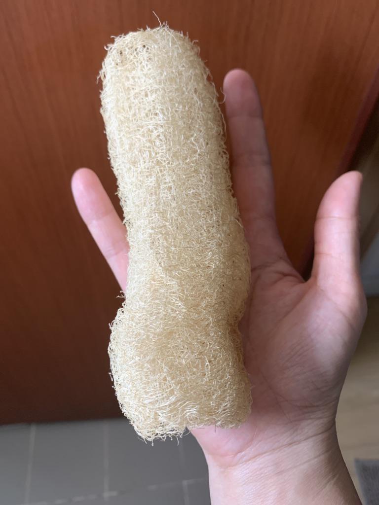 Natural unprocessed luffa Loofah Antibacterial Loofah bath body scrub