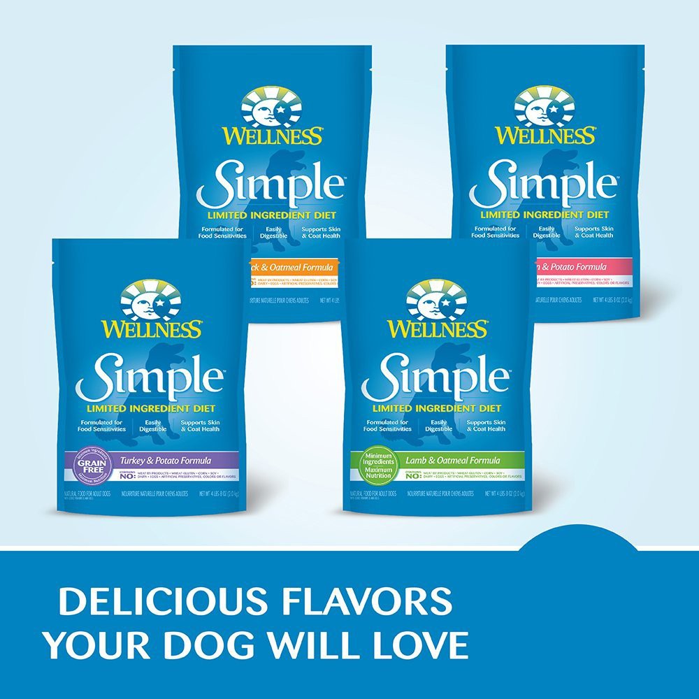 Wellness Simple Limited Ingredient Diet Dog Food Shopee Singapore